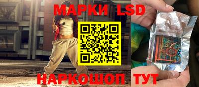 мдпв Камышлов