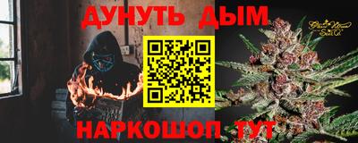 мдпв Камышлов