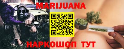 мдпв Камышлов