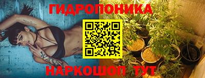 мдпв Камышлов