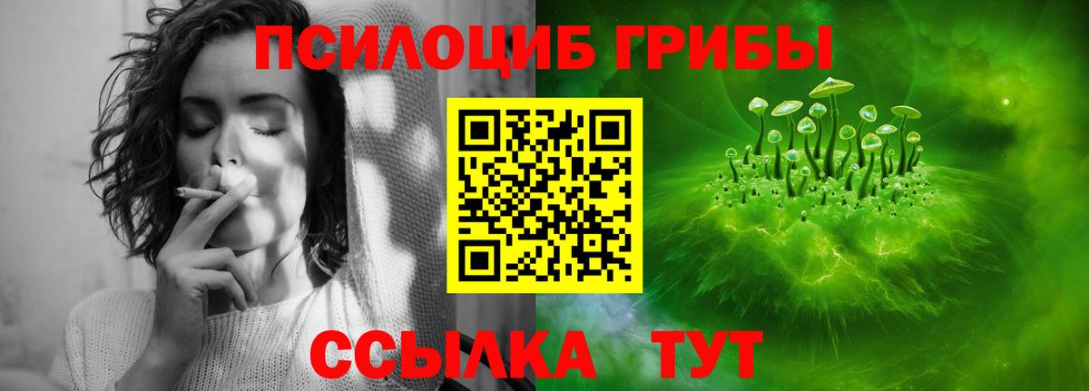 Псилоцибиновые грибы GOLDEN TEACHER Южноуральск